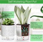 4 Pack Self Watering Pots for Indoor Plants, Plant Pots for African Violet - Image 3