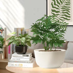 T4U 10 Inch Self Watering Pots for Indoor Plants, 2 Pack Large Plant Pots - Image 8