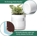 Phoenix Vine 6 Inch 4 Inch Self Watering Planter - Image 4