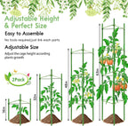 Riare 2 Pack 5.2 FT Tomato Cages - Image 3