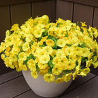 Artificial Flowers for Outdoors, UV Resistant Fake Silk Morning Glory, by maxkes