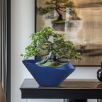 Bonsai Tree Pot 13 Inch - Image 2