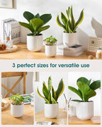 vancasso Ceramic Plant Pots, 4+5+6 inches, Planters - Image 5