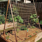 Jute Trellis Netting - Image 5