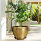 Ceramic Planter 10 Inch - Image 5