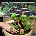 Ollas Plant Watering Globes. 2 Pcs Self Watering Planter Insert. Terracotta - Image 6