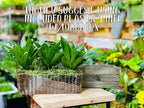 Wooden Planter Box with Handle I Rustic Barn Wood, Plastic Liner l Garden Decor - Image 7