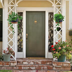 Hanging Planters for Indoor Plants - Image 6