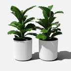 Veradek Round Demi Planter Pots - Image 8