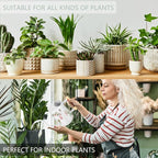 Watering Can Indoor Plants, 35oz Small Stainless Steel Metal Watering Can - Image 5