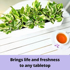 LaLaGreen Wall Planter Carbon Steel White Metal Hanging Flower Pot - Image 9