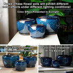 SQOWL Ceramic Planter 8 Inch - Image 5