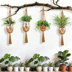 Augshy Jute Crochet Macrame Plant Hangers - Image 4