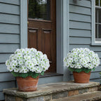 2 Pack Artificial Geranium Flowers Topitary Trees - Image 9