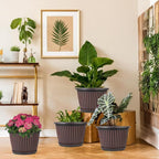 Planter-Pots-for-Plants-Indoor-Outdoor, 4 Pack 10 Inch Plastic Flower Pots - Image 6