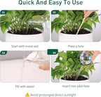 Large Extra-Thick Clear Glass Plant Watering Globes, Rainbow Gradient Self - Image 6