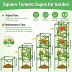 Legigo 6 Pack Square Tomato Cages - Image 2