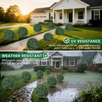 Artificial Boxwood Topiary Trees - Image 8