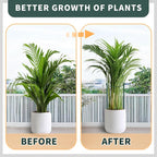 TCBWFY Plant Support Stakes for Large Heavy Plants, Interlock Garden Supports - Image 5