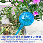 Large 12pcs Plant Watering Globes - Image 7