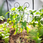 4 Pack 43'' Indoor Plant Trellis - Image 5