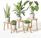 Delma Wood Plant Stands Indoor, Mid-Century Modern Plant Stool, Tall Plant Stand by Delma