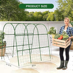 Cucumber Trellis for Raised Bed - Image 3