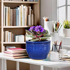 African Violet Pots Self Watering Round Ceramic Violet Pot - Image 9