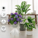 5 Pack Metal Plant Stand Indoor Outdoor Low Corner Plant Stand Heavy Duty - Image 4