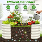 17" Tall Outdoor Garden Raised Garden Bed Kits, 4ft X 2ft Oval, 0.8MM Thick - Image 2
