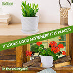 Plant Pots - 5.5 Inch Cylinder Ceramic Planters - Image 4