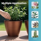 2 Pack Plastic Plant Pots with Drainage Holes, 8 inch Planter - Image 4