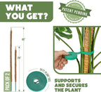 2 Pack 48" and 28'' Bendable Moss Pole Monstera Plant Support - Image 2