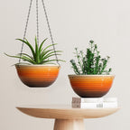 12 inch Hanging Planters for Indoor Outdoor Plants, 2 Pack Large Hanging Flower - Image 7