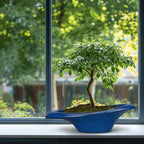 Bonsai Tree Pot 18 Inch - Image 8