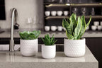 Docrin Plant Pots Indoor with Drainage: 6.4+5.3+4 Inch Ceramic Flower Pots - Image 7