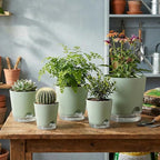 GARDIFE 2026 Upgraded Self Watering Plant Pots - Image 6