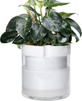 Phoenix Vine 10 Inch Self Watering Planter by Phoenix+Vine