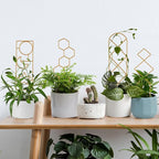 Small Trellis for Potted Plants, 15.94 inch Gold Metal Plant Trellis for - Image 4