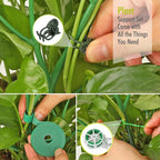 6 Pack Plant Support Stakes for Indoor Plants, 39.37 Inch Tall Twig Plant Sticks - Image 6