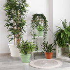 8 Inch Plastic-Flower Pot-for-Indoor Plants, 4 Pack Large Outdoor Planter Pot - Image 6