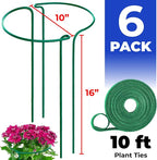 Tall Plant Support Stakes for Indoor and Outdoor - Image 2