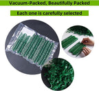 200 Pcs Plant Support Clips, Plastic Clips - Image 4