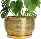 SQOWL Ceramic Planter for Indoor Plants by SQOWL
