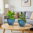 8 inch Plant Pots, Flower Pots for Garden Home Decor - Image 5