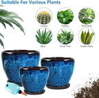 Ceramic Pots for Plant with Self Watering Globes, 6 inch Planters for Indoor - Image 5