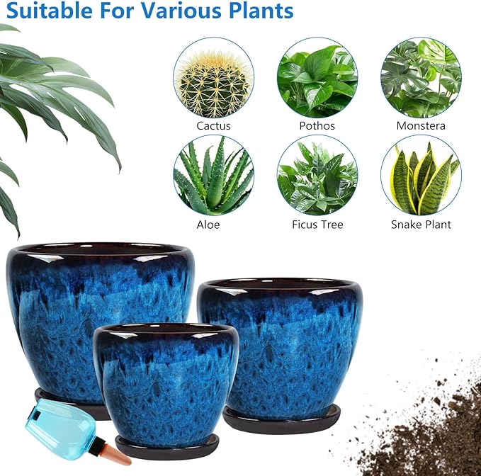 Ceramic Pots for Plant with Self Watering Globes, 6 inch Planters for Indoor - Image 5