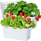 Window Box Planter 6 Packs, 13.8 Inches Rectangle Flower Pots by Oliz