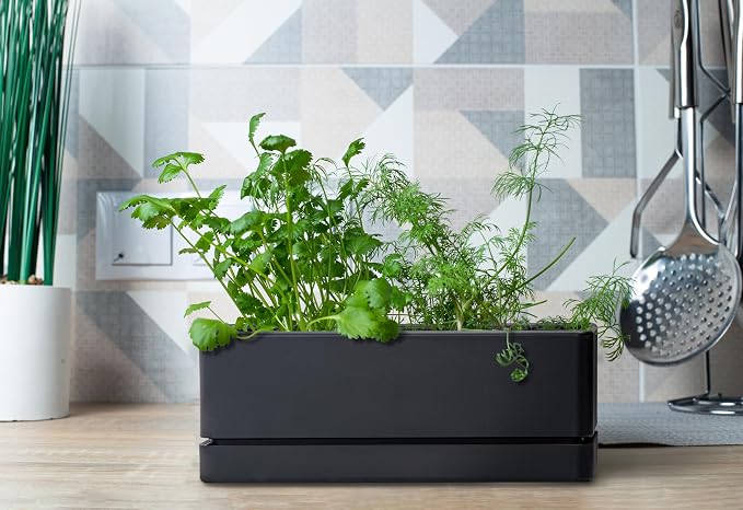 D'vine Dev 12 Inch Window Box Planter, Rectangle Plastic Herb Planter - Image 5