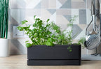 D'vine Dev 12 Inch Window Box Planter, Rectangle Plastic Herb Planter - Image 5